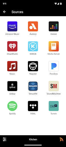 Pioneer Music Control App