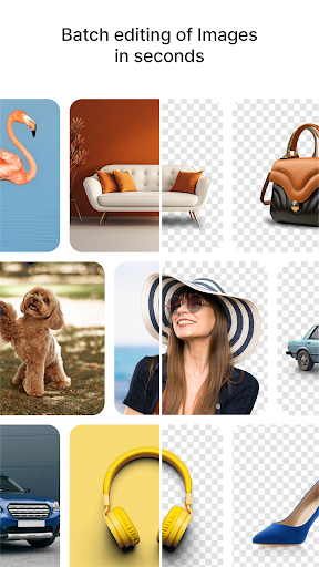 Erase.bg (Remove Background) পিসি