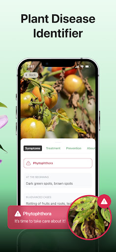 Plant disease identifier پی سی