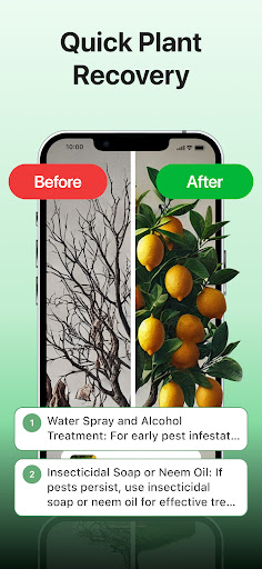Plant disease identifier پی سی