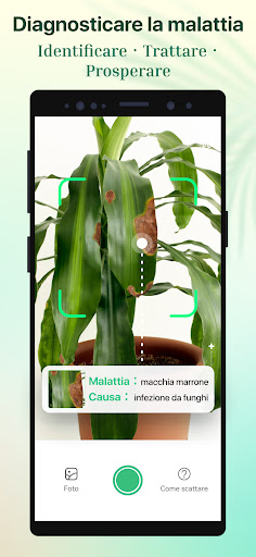 Plant Parent - Guida alla Cura PC