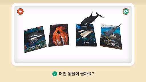 큐리오 사파리 AR / Curio Safari AR para PC