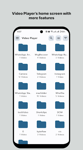 HD Video Player All Format PC