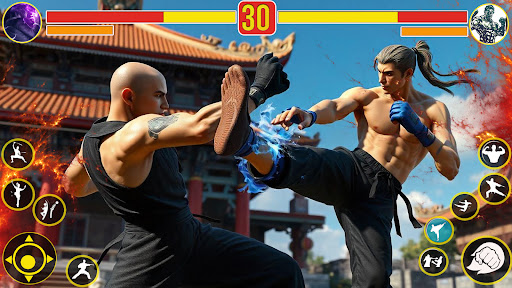 功夫空手道：格斗游戏电脑版