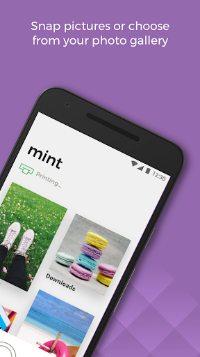 Mint PC