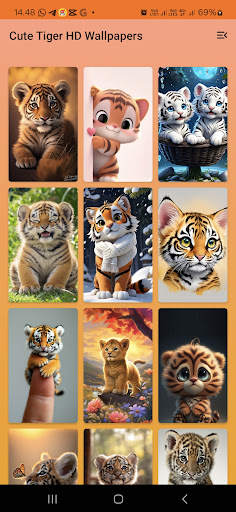 komputer Cute Tiger HD Wallpapers
