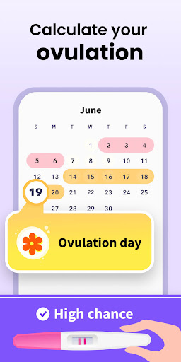 Period Calendar Period Tracker PC