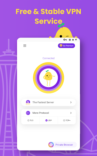 VPN PotatoVPN - WiFi Proxy ПК