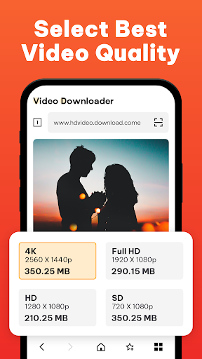 All Video Downloader پی سی