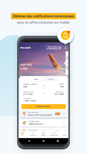 Pegasus: Vols Pas Chers PC