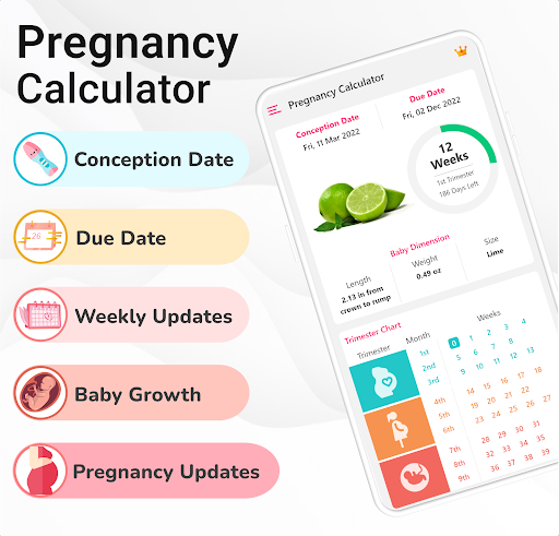 Pregnancy Calculator: Due Date PC