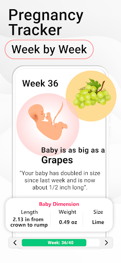 Pregnancy Calculator: Due Date