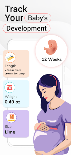 Pregnancy Calculator: Due Date PC