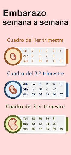 Calendario de embarazo Semanal PC