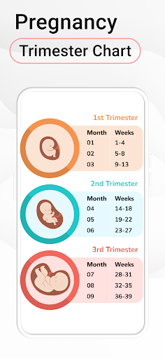 Pregnancy Calculator: Due Date PC