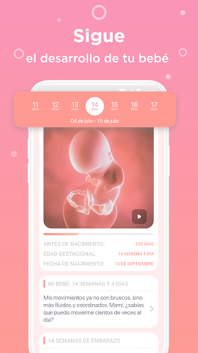 Mi embarazo. Calendario app PC