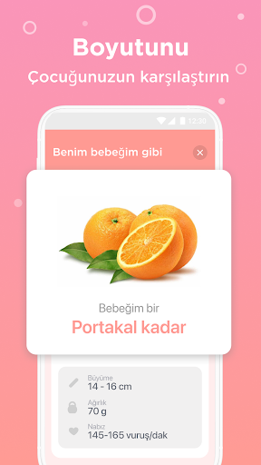 Gün Gün Hamilelik Takibi BI