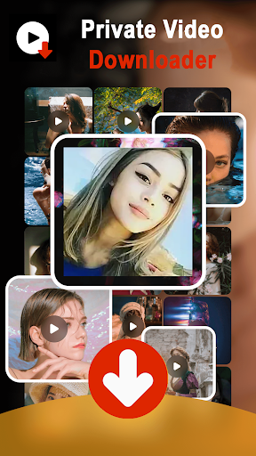 Private Video Downloader پی سی