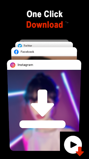 Private Video Downloader