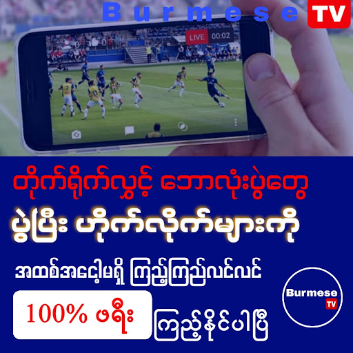 Burmese TV Pro PC版