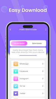 All Video Downloader PC