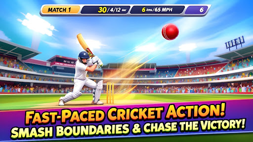 IPL cricket game 2024