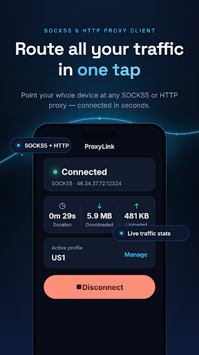 ProxyLink: SOCKS5 & HTTP Proxy پی سی