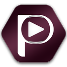 Portal Play v5 PC