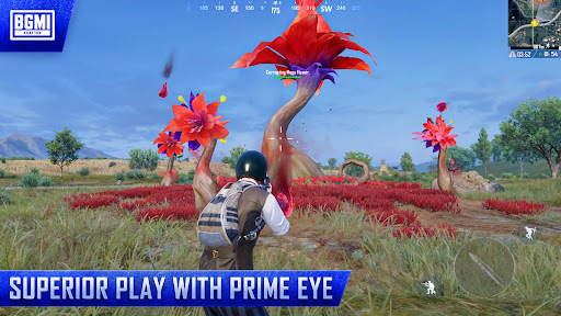 Battlegrounds Mobile India (BGMI)