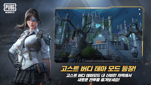 배틀그라운드 PC