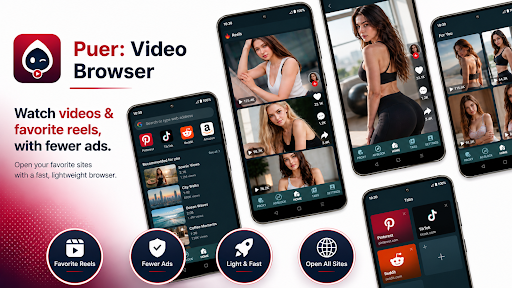 Puer: Video Browser PC