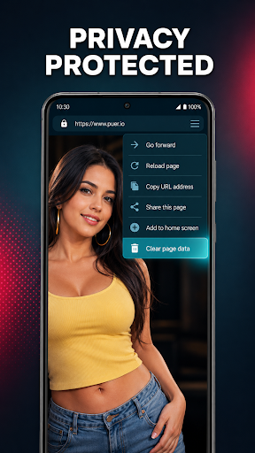 Puer: Video Browser PC
