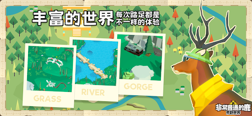 非常普通的鹿：荒野世界