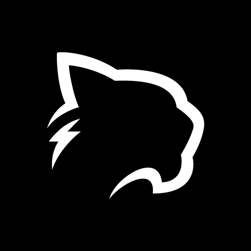 Puma Browser: private local Ai PC