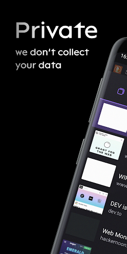 Puma Browser: private local Ai PC