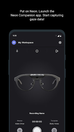 Neon Companion PC版