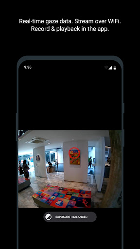 Neon Companion PC版