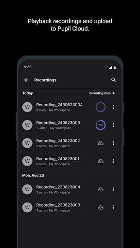 Neon Companion PC版