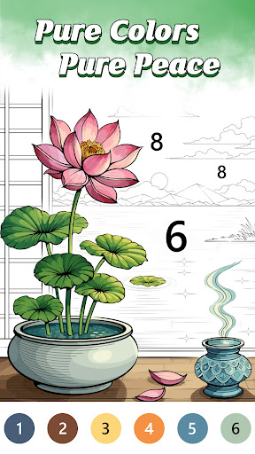 Pure Color by Number Book PC