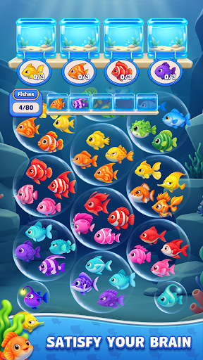 Fish Jam Fever