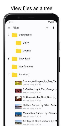 Files