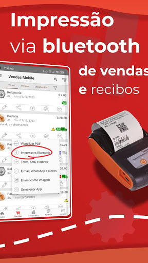 Pedidos, Estoque e Financeiro para PC