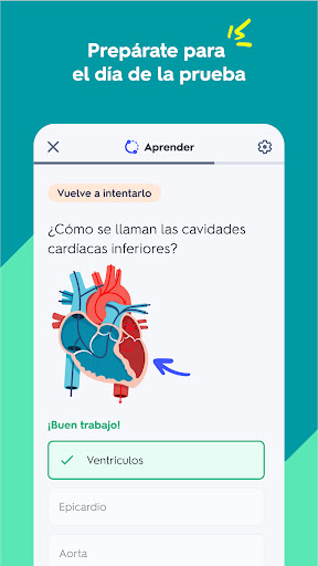 Quizlet: fichas creadas con IA PC