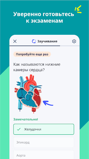 Quizlet: карточки на основе ИИ ПК