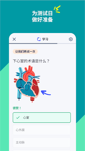 Quizlet：人工智能单词卡电脑版