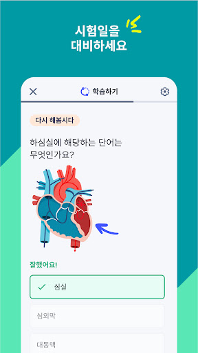 Quizlet: AI 기반 낱말카드 PC