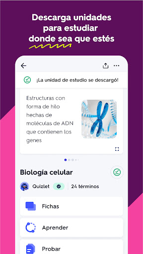 Quizlet: fichas creadas con IA PC