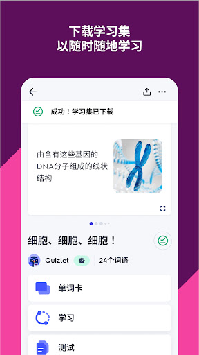 Quizlet：人工智能单词卡电脑版