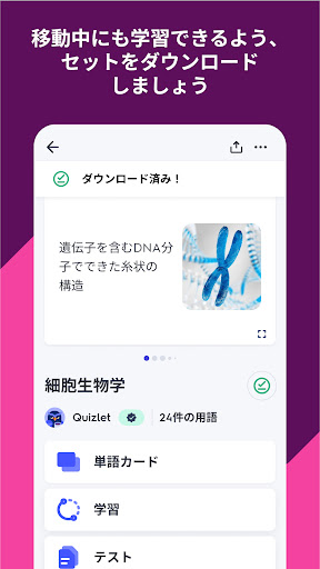 Quizlet：AI搭載の単語カード PC版