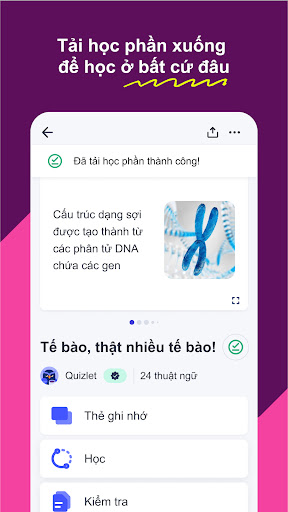 Quizlet: Thẻ ghi nhớ hỗ trợ AI PC